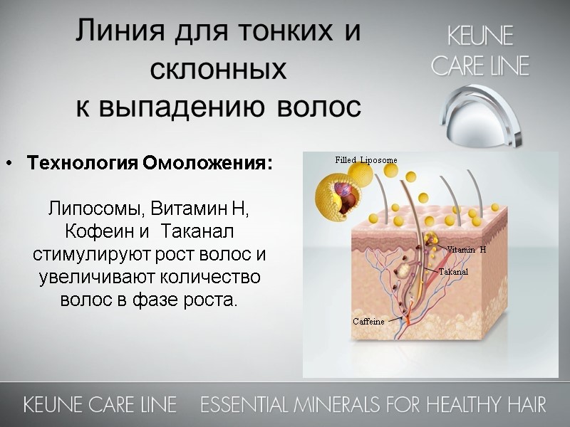Технология Омоложения:  Липосомы, Витамин H, Кофеин и  Таканал стимулируют рост волос и